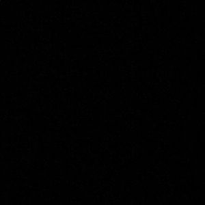 Meet your Posher, Audrey